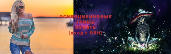сатива Алагир
