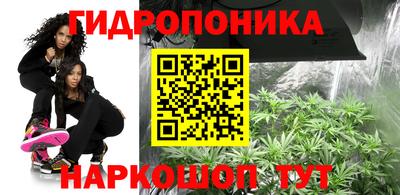 a pvp Кандалакша