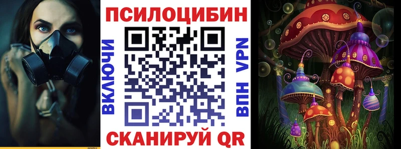 цены   Нижний Тагил  Псилоцибиновые грибы Psilocybine cubensis 