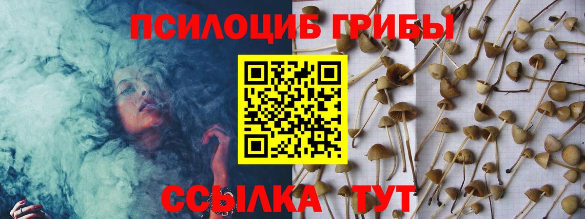 Галлюциногенные грибы Cubensis Нижний Тагил